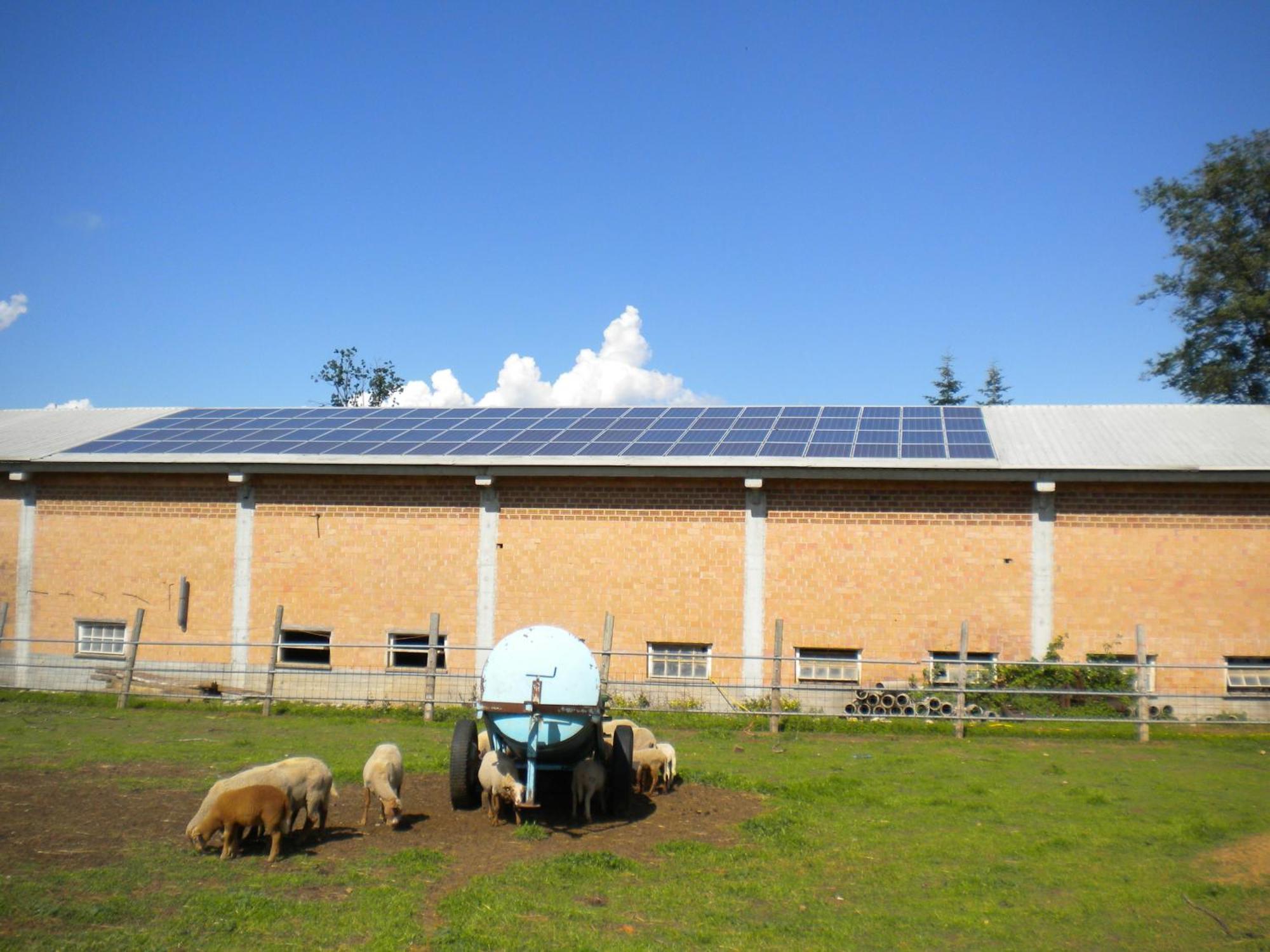 Agriturismo La Dimora Del Contadino Mondovì Exteriör bild